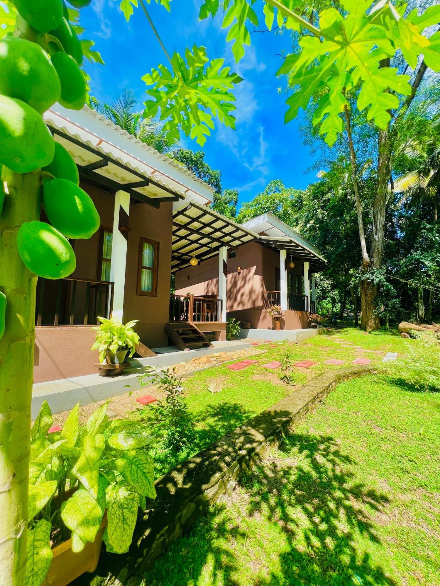 Edenhaven Cottage Udawalawe Luaran gambar